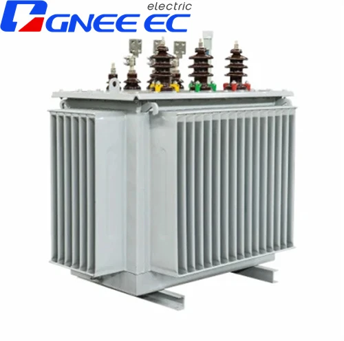 Oil-Immersed Amorphous Alloy Transformer